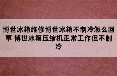 博世冰箱维修博世冰箱不制冷怎么回事 博世冰箱压缩机正常工作但不制冷